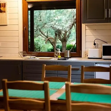 With A Fireplace And A Large Terrace * Kopalino